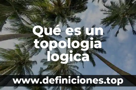 Qué es un topologia logica