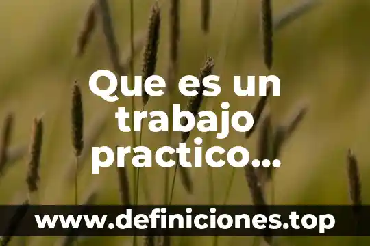 Que es un trabajo practico terminal