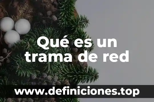Que es el monitoreo de red conclusion 5 Qué es un trama de red