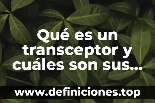 Que es fertilizante y cuales son los riesgo y bieneficios 3 Qué es un transceptor y cuáles son sus tipos