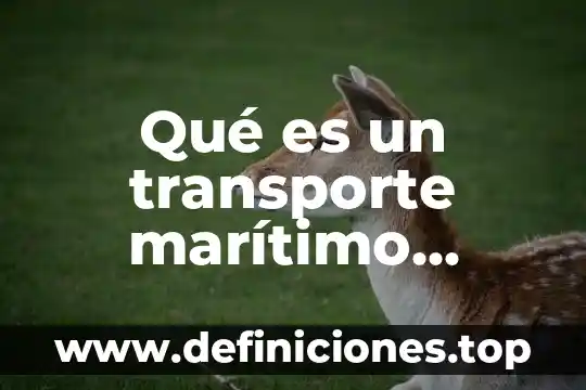 Comercio marítimo que es 5 Qué es un transporte marítimo concepto
