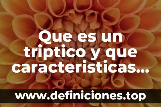 En tríptico que es la constitución en primaria 4 Que es un triptico y que caracteristicas tiene