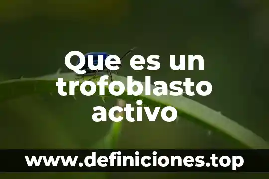 Qué es el activo corriente de una empresa 7 Que es un trofoblasto activo