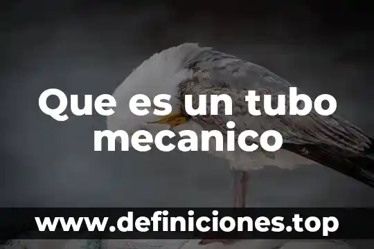Qué es original mecánico 3 Que es un tubo mecanico
