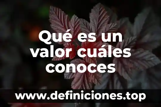 Qué es un valor cuáles conoces