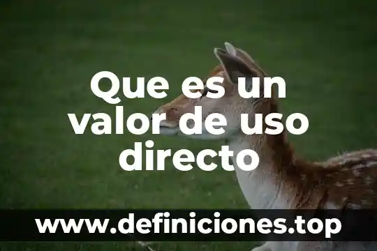 Que es juego de persecucion 8 Que es un valor de uso directo