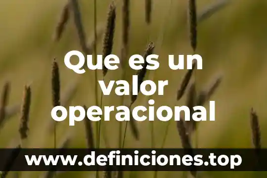 Que es un valor wikipeida 4 Que es un valor operacional