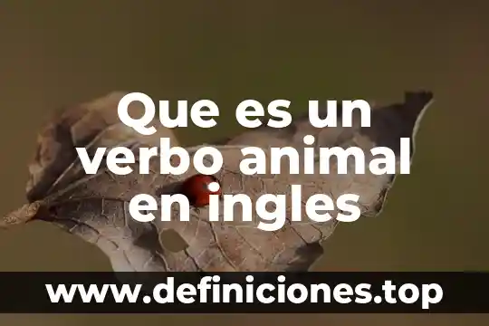 Que es un verbo animal en ingles