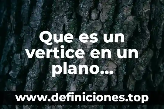 Que es un vertice en un plano cartesiano