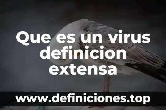 Qué es un virus informático clasificación 5 Que es un virus definicion extensa