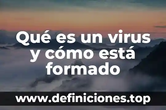 Qué es un virus informático clasificación 3 Qué es un virus y cómo está formado
