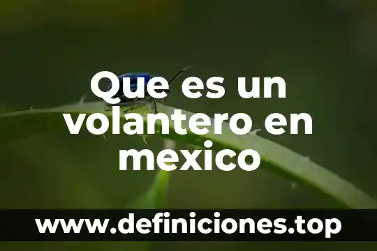 Que es el conaen mexico 5 Que es un volantero en mexico