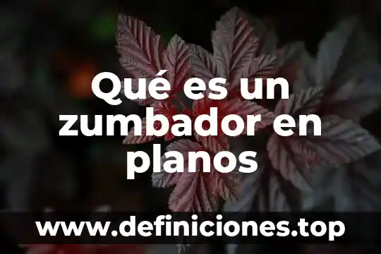 Que es la participacion no controladora 8 Qué es un zumbador en planos