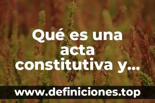 Qué es una acta constitutiva y sus partes