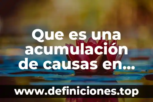 Que es acumulacion de costos de produccion 6 Que es una acumulación de causas en ecologia