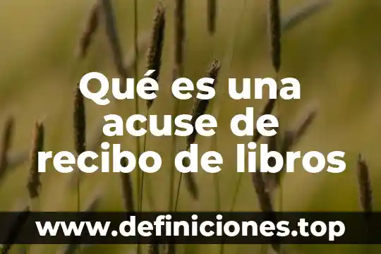 Que es un recibo de dinero en contabilidad 5 Qué es una acuse de recibo de libros