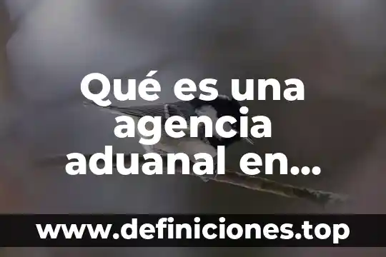 Proceso de despacho aduanal que es 5 Qué es una agencia aduanal en México