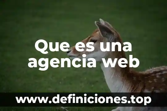 Que es un cotizador web 4 Que es una agencia web