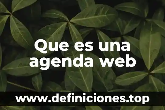 Qué es la agenda local regional estatal y nacional 5 Que es una agenda web