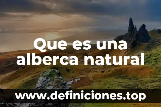 Que trae aloe y que es natural 6 Que es una alberca natural