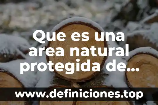 Que es un área protegida en ecologia 5 Que es una area natural protegida de yucatan