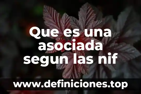 Que es un activo nif c1 3 Que es una asociada segun las nif