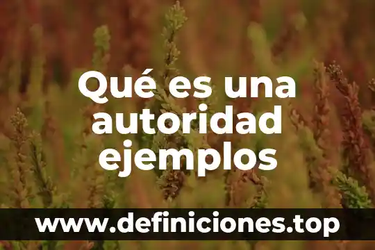 B2b que es y ejemplos 7 Qué es una autoridad ejemplos