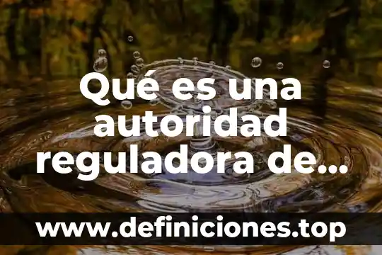 Que es el factoraje financiero diferentes autores 5 Qué es una autoridad reguladora de protección de datos personales