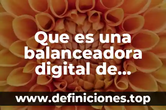 Que es una balanceadora digital de neumaticos