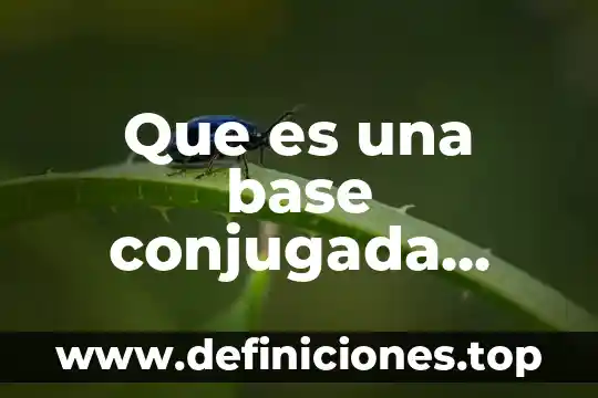 Que es una base conjugada definicion
