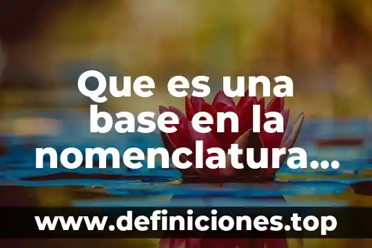 ¿Qué es la química orgánica química inorgánica? 7 Que es una base en la nomenclatura inorganica