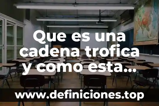 Que es una cadena trofica y como esta formada