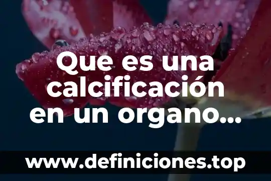 Órgano transitorio que es 7 Que es una calcificación en un organo en la prostata