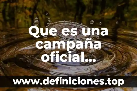 Que es un plan de campaña 3 Que es una campaña oficial significado de la palabra oficial