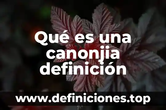 Qué es una canonjia definición