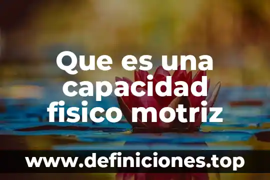 Qué es capacidad física motriz 3 Que es una capacidad fisico motriz