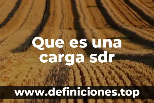 Que es y para que sirve un crokis 7 Que es una carga sdr