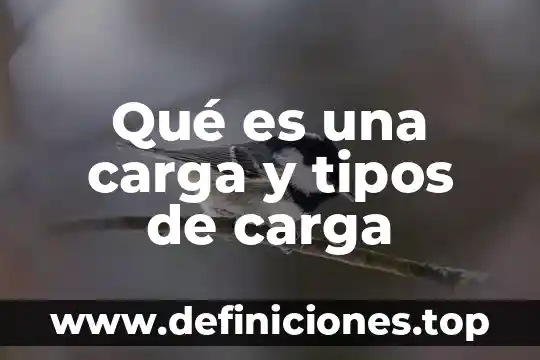 Qué es una carga y tipos de carga