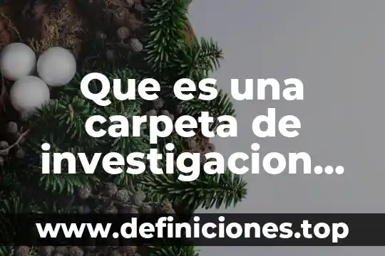 Que es una carpeta de investigacion determinada