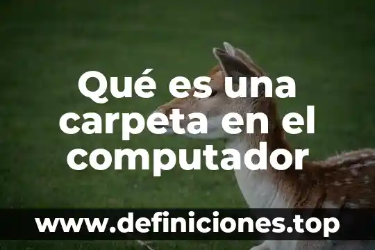Qué es una carpeta en el computador