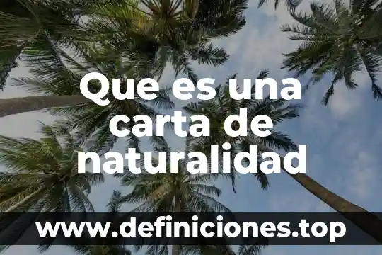 Que es otorgante carta poder 3 Que es una carta de naturalidad