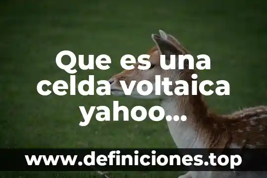 Que es una celda dentro de una hoja de calculo 4 Que es una celda voltaica yahoo respuestas c p