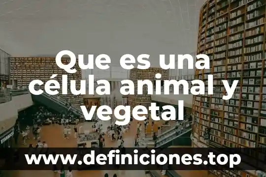 Que es una célula animal y vegetal