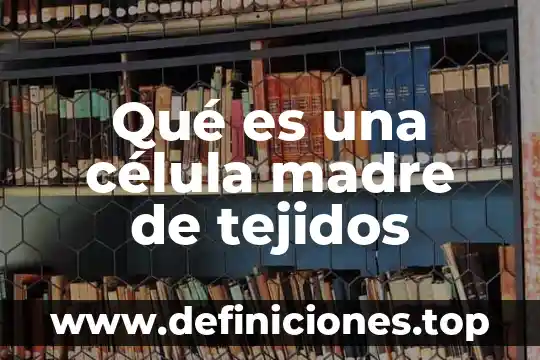 Que es el trasplante de organos y tejidos 3 Qué es una célula madre de tejidos