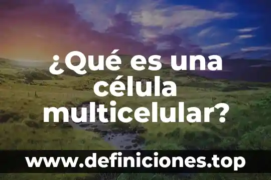 ¿Qué es una célula multicelular?