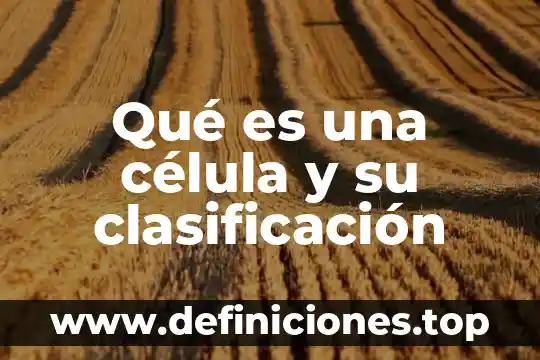 Qué es una célula y su clasificación