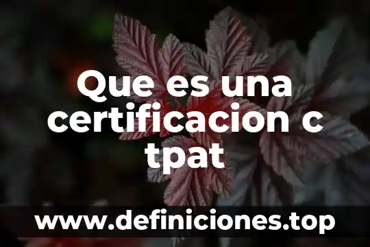 Que es mapa base osm 3 Que es una certificacion c tpat