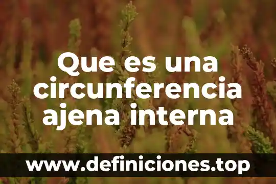 Que es una circunferencia ajena interna