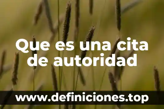 Que es la autoridad substanciadora 4 Que es una cita de autoridad