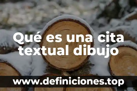 Que es visión en proyectos de inversión 6 Qué es una cita textual dibujo